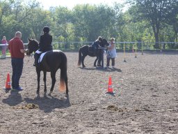 img_0229_web